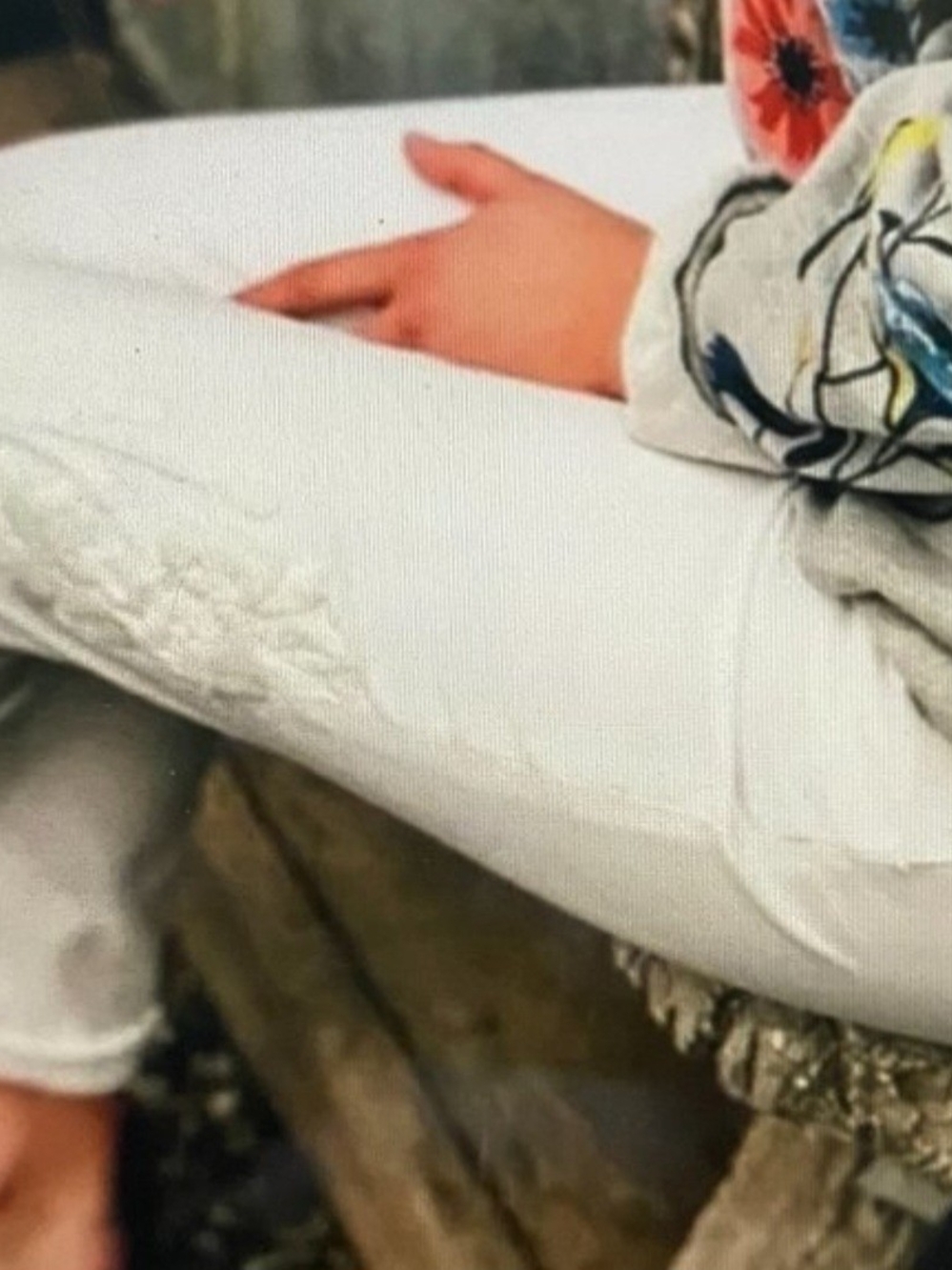Anthropologie Relaxed Embroidered Chino Pants
